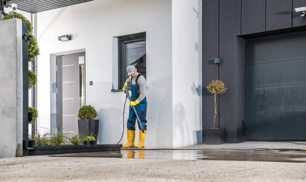 Professional Pressure Washing in Harlem Heights, FL
